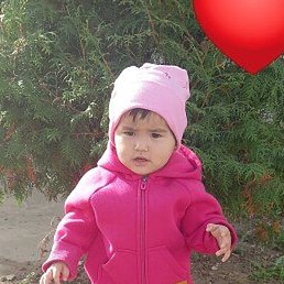 �����, �������, 38 ���