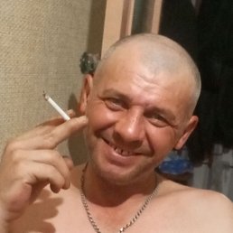 , 34, 