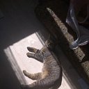 ���� �������, �����, 48 ��� - ��������� 2 �������� 2025 � ������ ������ ��������