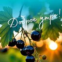 ���� �������, ������ - ��������� 7 ������ 2026 � ������ ������ ��������