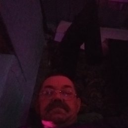 ���� �����, ������, 54 ���� - ��������� 7 ������ 2024