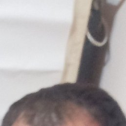 ����, �����������, 36 ���