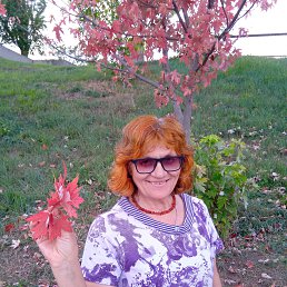 , 65, 