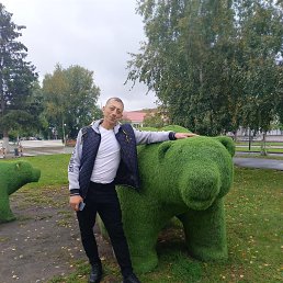 ���������, 41 ���, ��������