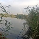 ���� ������, ������������, 65 ��� - ��������� 16 ������� 2025 � ������ ������