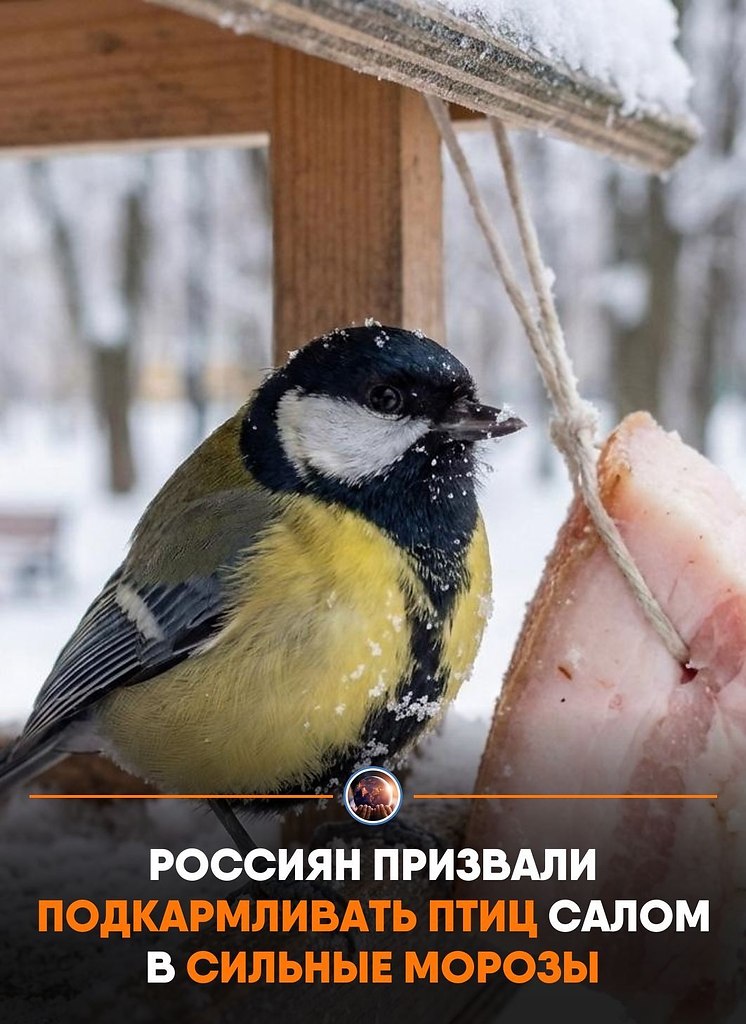 ��e��a��c�� o���c����, ��o ���o���� ��p �o�o�ae� �ep�a��� �epe���� �o�o��oe �pe�� �o�a, �a� �a� ...