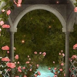 ������, ���������, 29 ���