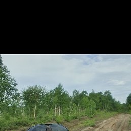 ������, 45 ���, �������������-����������