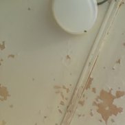 �����, 59 ���, ������