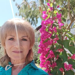 , 65, 