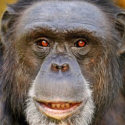 �����, ������ ��������, 20 ���