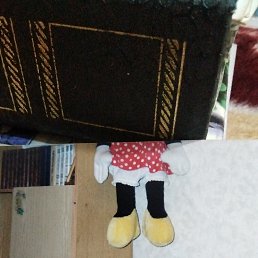 , 55 , 
