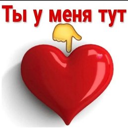 ���� ����, �������, 45 ��� - ��������� 20 ������� 2025