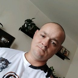 �������, ���������, 38 ���