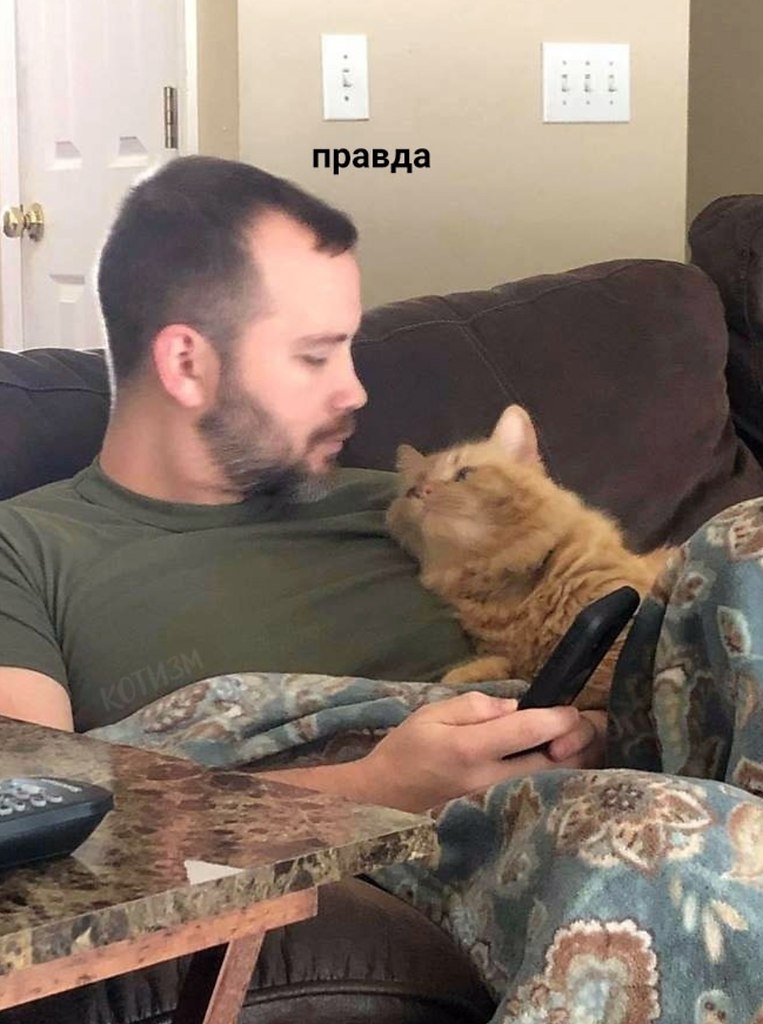 Жиза прям такая - 5