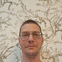 , 41, 