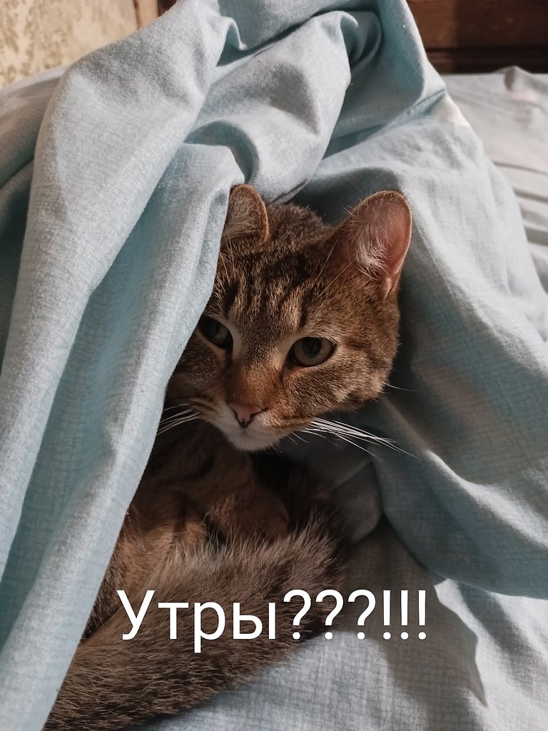      - 9  2025  08:04