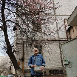 ���������, �������, 80 ���