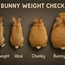 ���� ���, �������, 60 ��� - ��������� 30 ������ 2025 � ������ ������ ��������