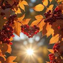 ���� �����, ����� - ��������� 26 ������ 2026 � ������ ���� ����������