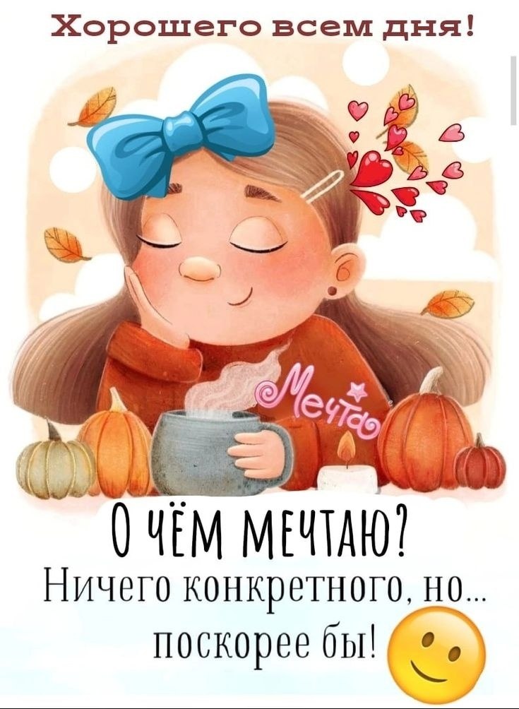   ,    . - 6  2025  07:36