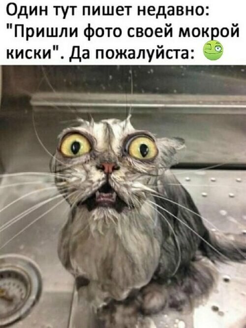   ! - 9  2025  14:32