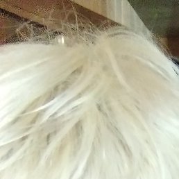 ����, ������, 48 ���