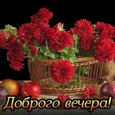   ,    . - 1  2025  17:39