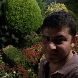 , 40, 