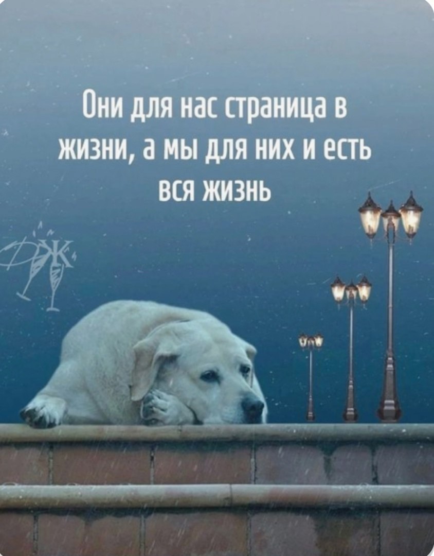  - 16  2025  13:05