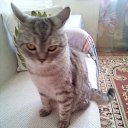 ���� Mila, ���� - ��������� 13 ������ 2025 � ������ ������ ��������