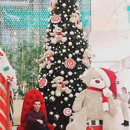 ���� �����, ������, 23 ���� - ��������� 13 ������ 2024