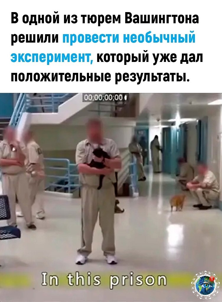  |  |   5 - 7  2024  19:16