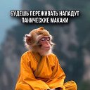 ���� �����, ���� - ��������� 5 �������� 2026 � ������ ������ ��������
