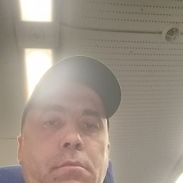 �����, 38 ���, ������