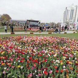 �����, ������, 69 ���