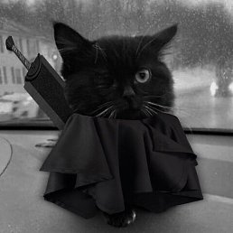 �����, ������������, 22 ����