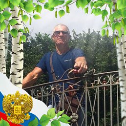 �������, ������, 65 ���