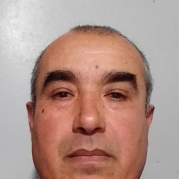 ��������, ������, 56 ���