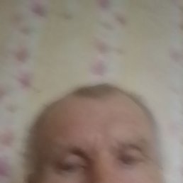 , 44, 