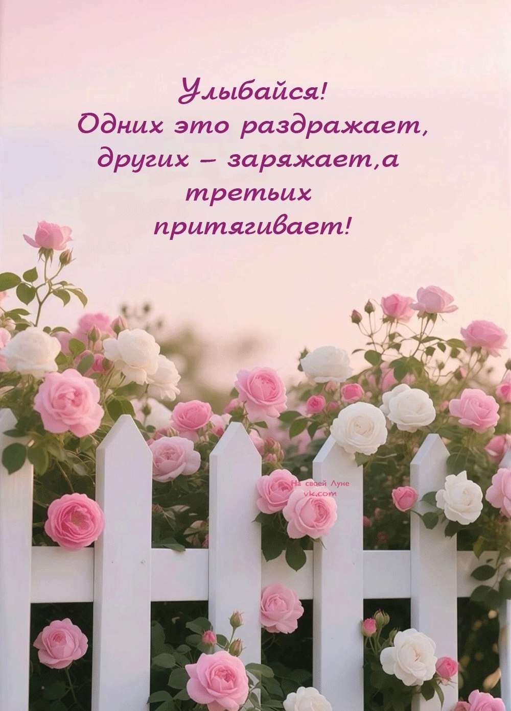  - 24  2025  11:58
