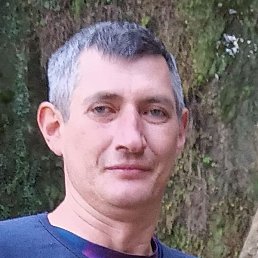 ����, ����, 45 ���