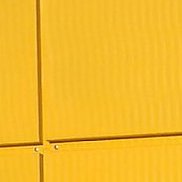 ����������, 38 ���, ����������