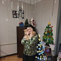 �������, ���������, 62 ����