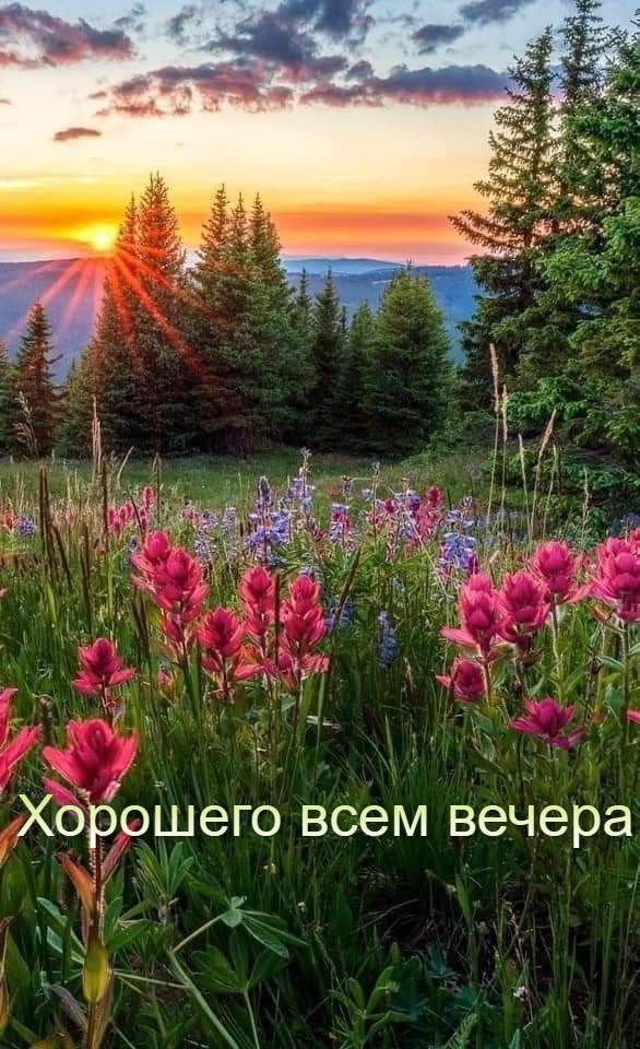   - 5  2024  18:14