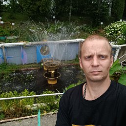 , 33, 