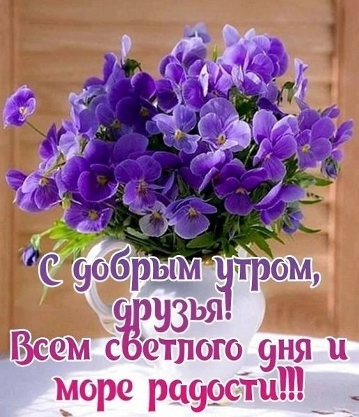   - 11  2025  04:24