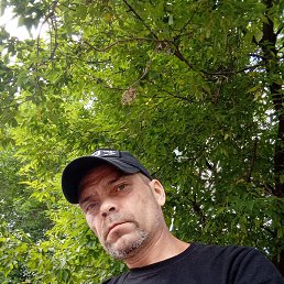 , 45, 