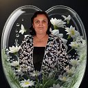���� ���������, ����� - ��������� 26 ������ 2026 � ������ ������ ��������