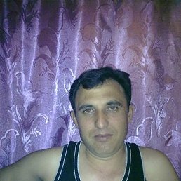 , 50, 